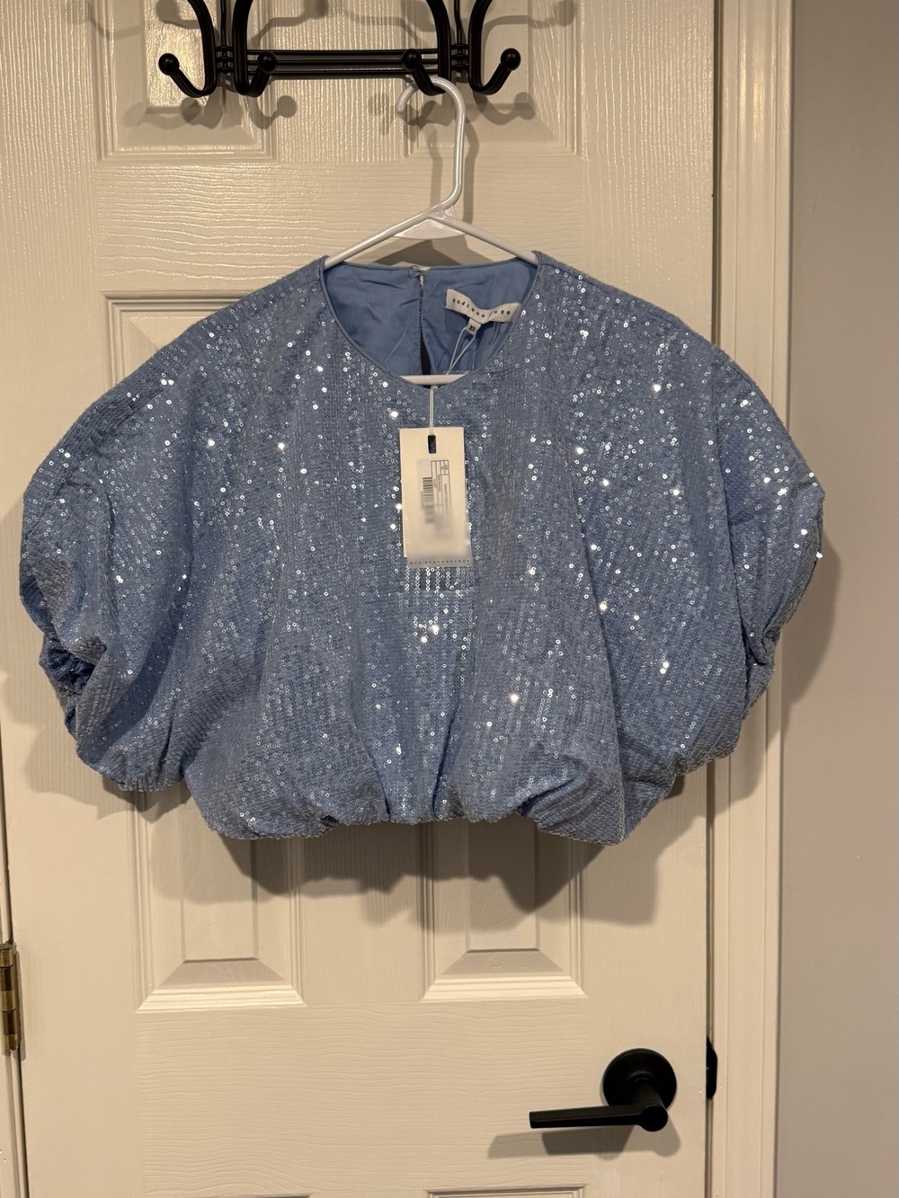 Light Blue Sequin Puff Sleeve Cropped Top by Endless Rose